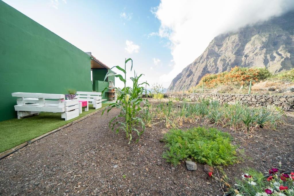 Vivienda Vacacional Efriland 弗龙特拉 外观 照片